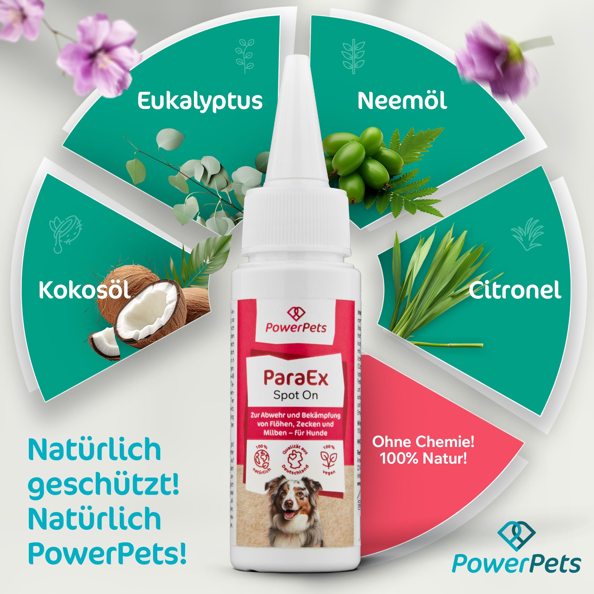 PowerPets - ParaEx - Spot On für Hunde