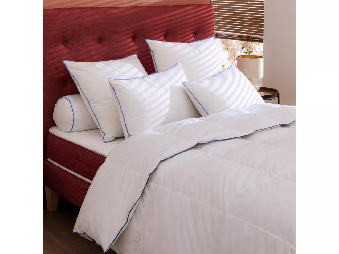 Lot de 2 oreillers moelleux/ferme duvet de canard anti-allergènes Someo 45x70