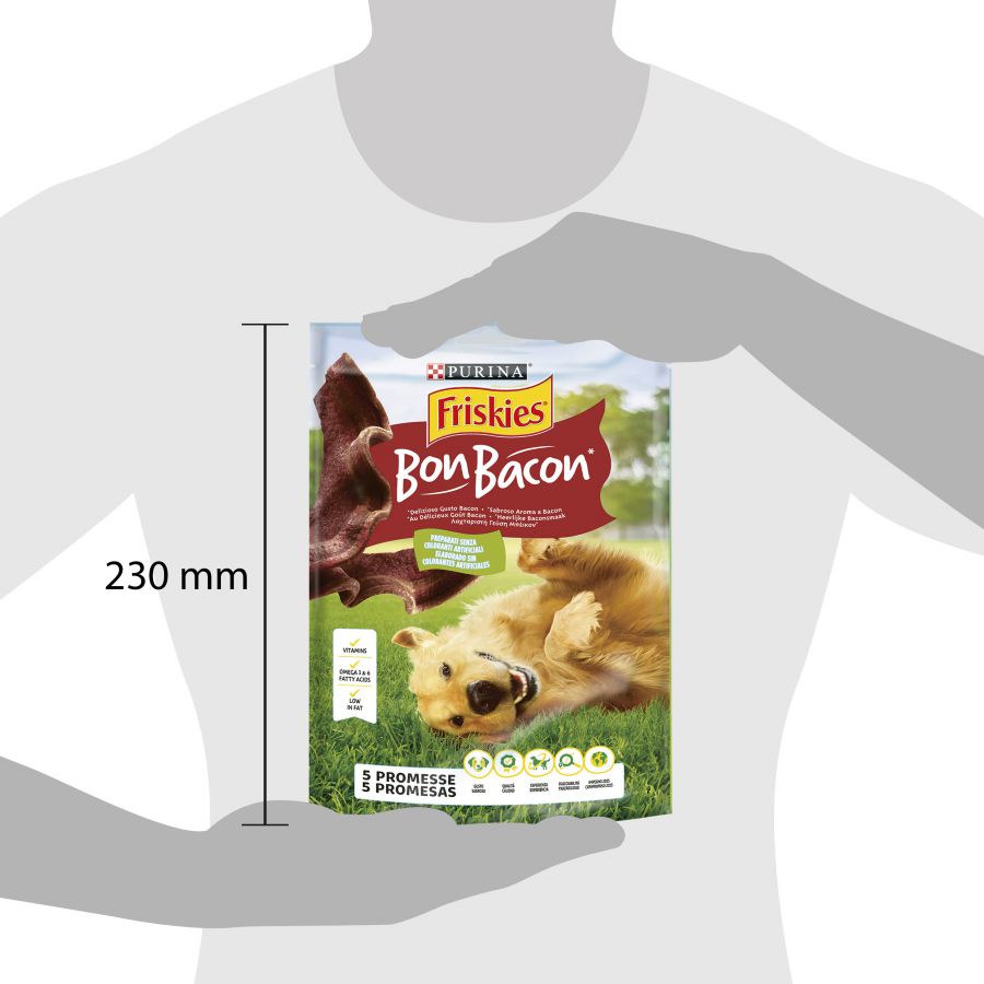 Friskies Bon Bacon para cães