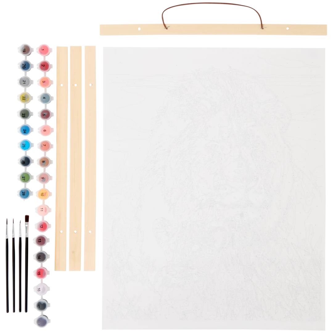 Schilderen op nummer 41,5 x 56 cm | diverse varianten