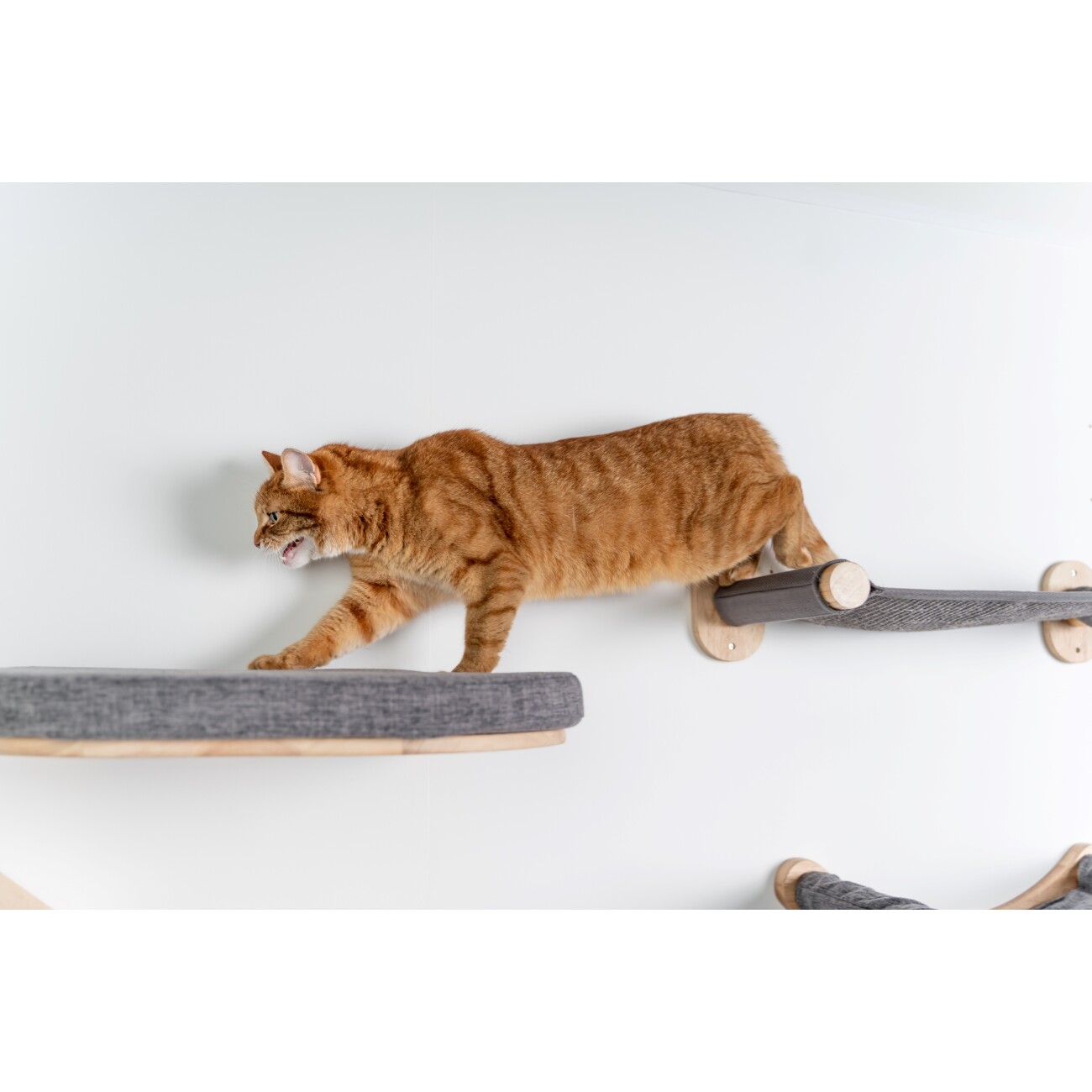 RHR Quality RHRWandmöbel Mauerbrücke Katze anthrazit