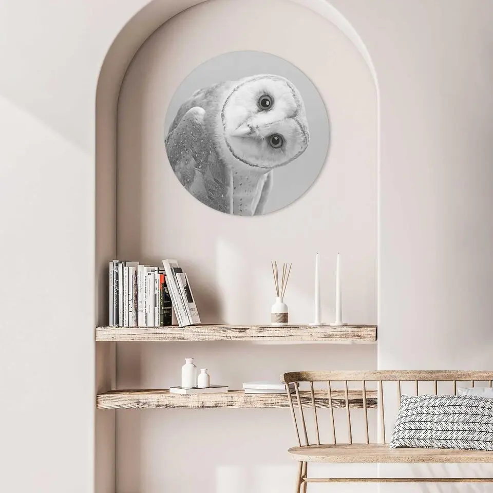 Plexiglasschilderij Kerkuil - Ø 50cm - Zwart-Wit