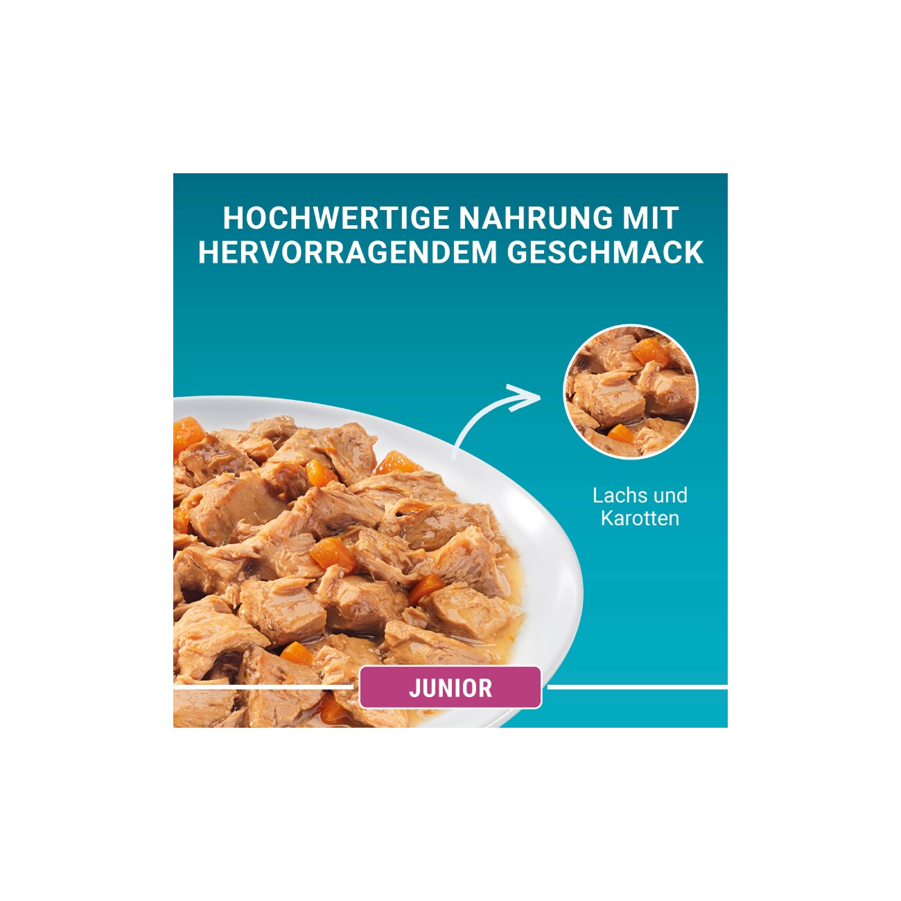 Purina ONE Junior Lachs 26x85g