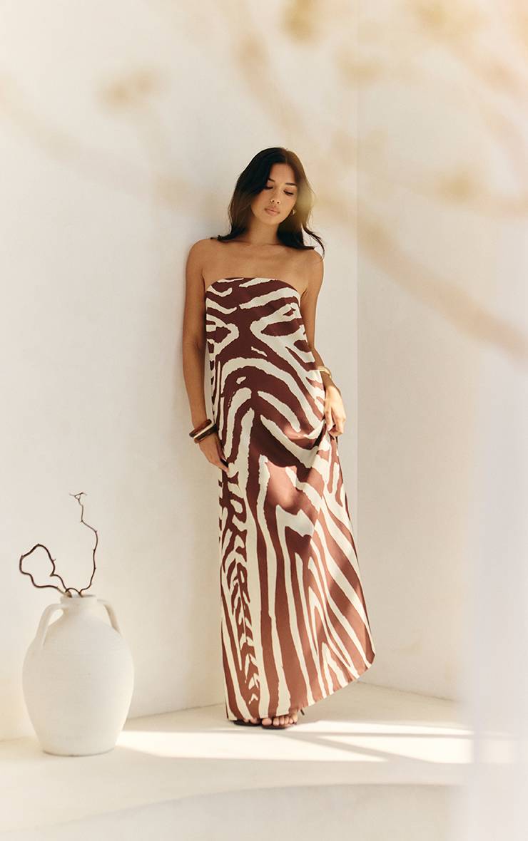 Marron Robe Longue Bandeau Tissée À Imprimé Zèbre Abstrait