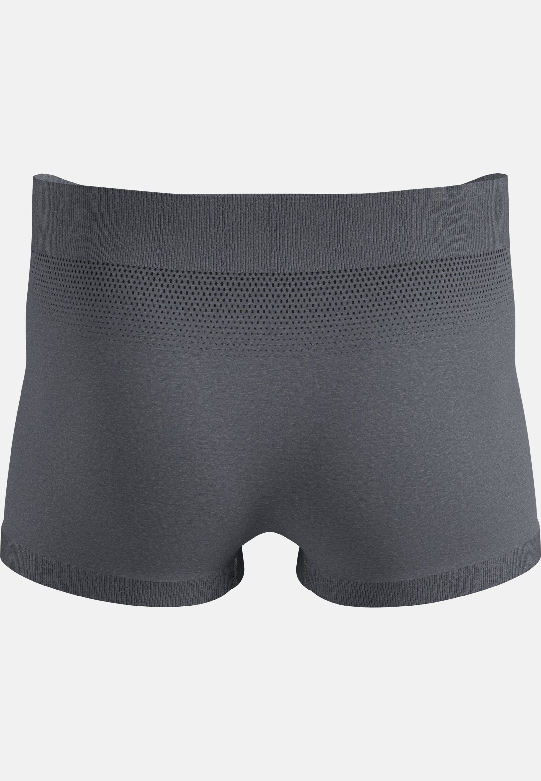 Performance Light Panty in grey melange