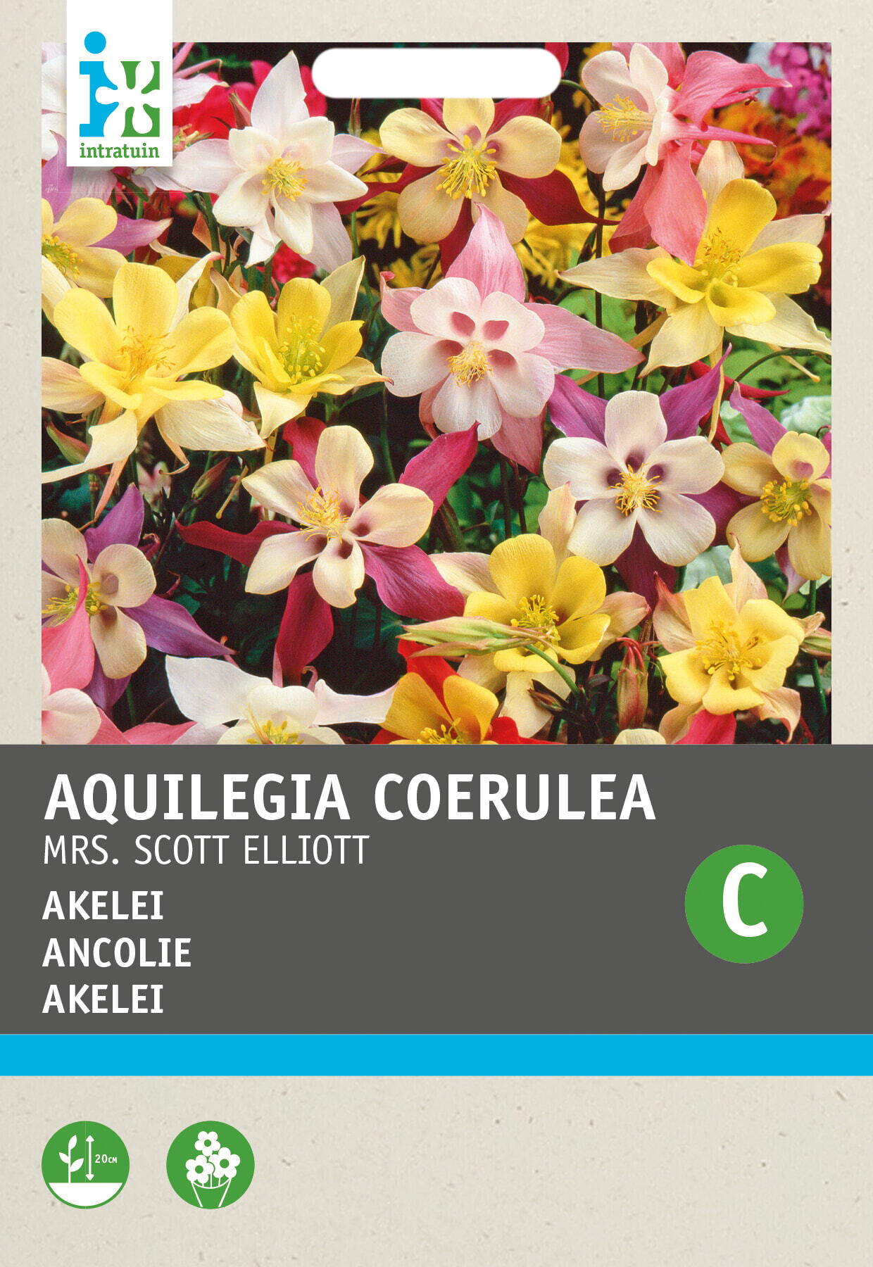 Intratuin bloemenzaad Akelei (Aquilegia coerulea 'Mrs Scott Elliot')