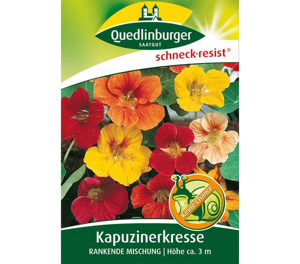 Quedlinburger Samen Kapuzinerkresse 'Rankende