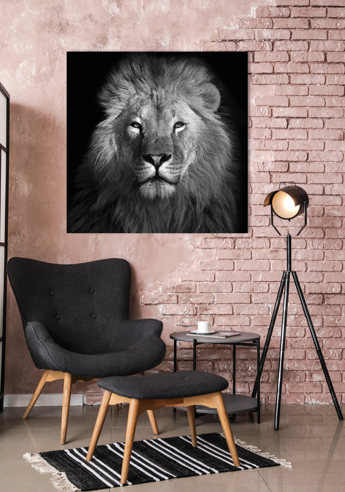 Akustikbild KÖNIG DER LÖWEN 80x80cm, 5kg
