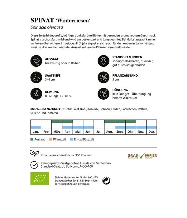 Dehner Bio-Saatgut Spinat 'Winterriesen'