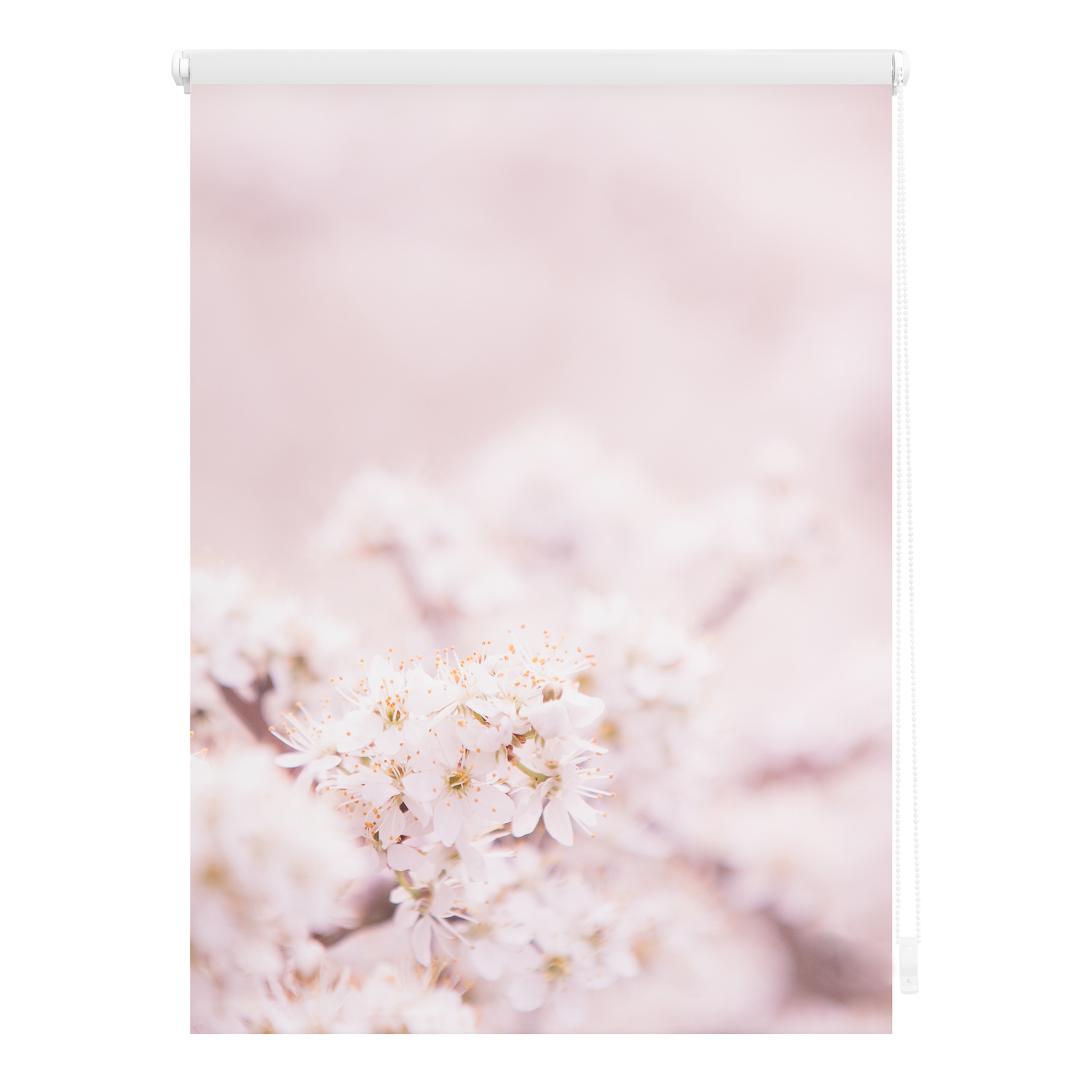 LICHTBLICK Verdunklungsrollo KIRSCHBLÜTEN - rosa-weiß - 45x150 cm