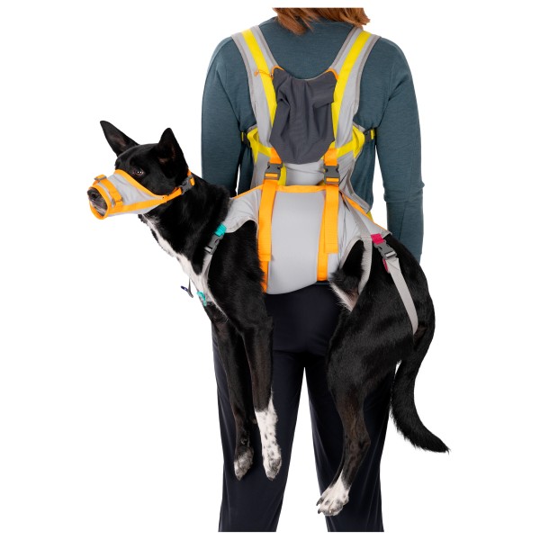 Ruffwear - BackTrak Dog Evacuation Kit - Accessoire pour chien