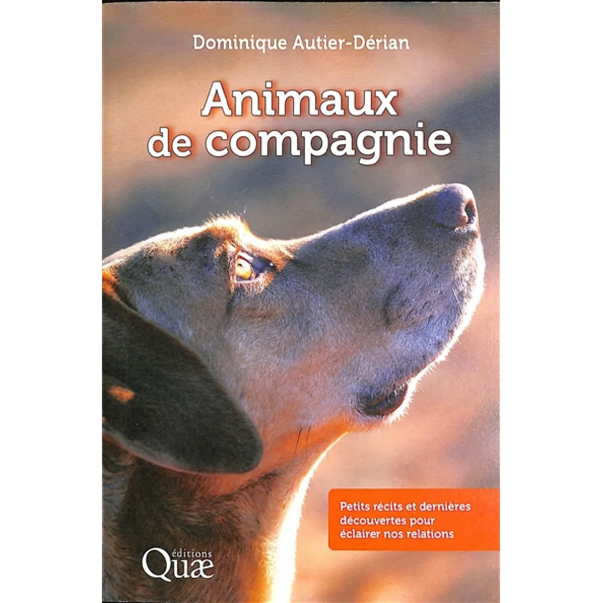 Animaux de compagnie : petits récits et dernières découvertes pour éclairer nos relations · Occasion