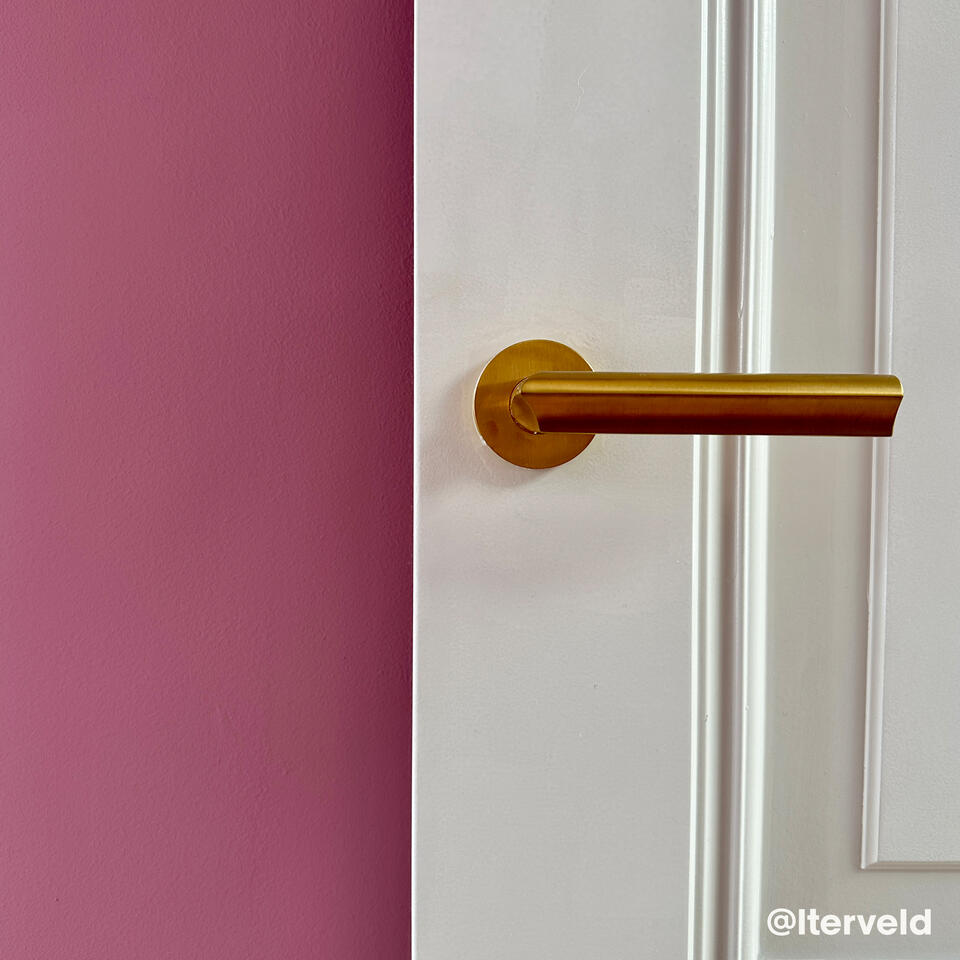 Muurverf Professional Misty Mauve 2.5 l