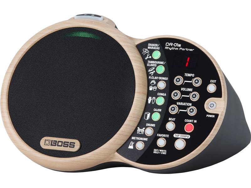 BOSS Sampling Pad DR-01S Organische Rhythmusbegleitung für Unplugged-Musiker