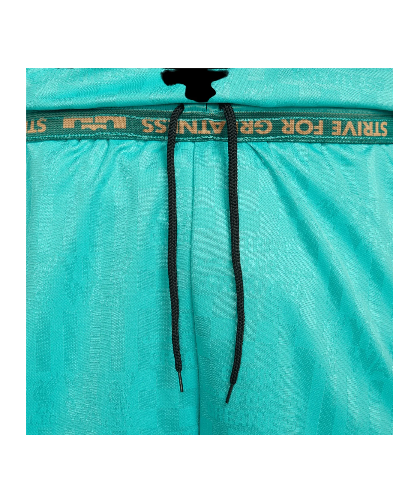 Nike FC Liverpool x LeBron Basketball Shorts F392