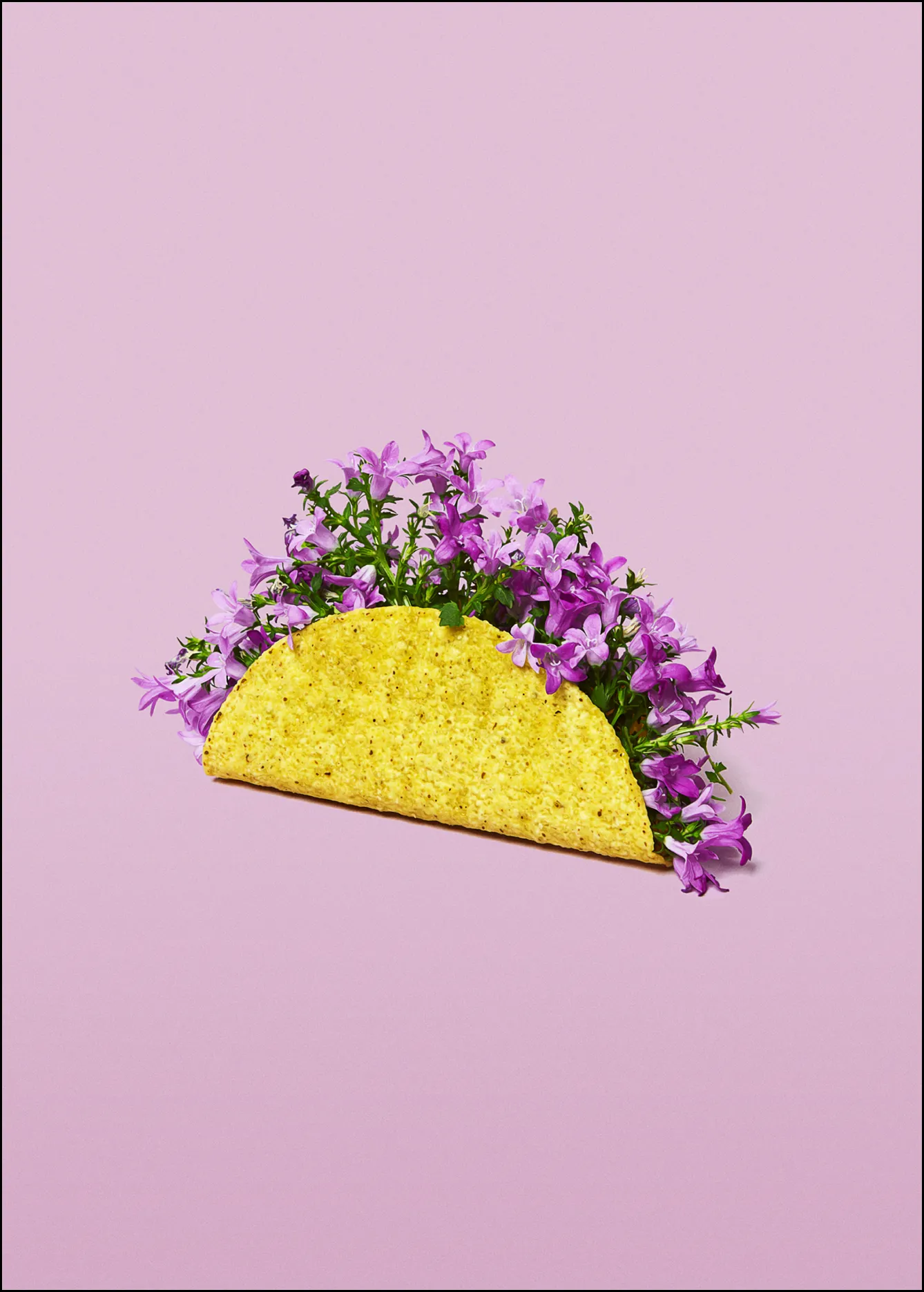 Poster&Frame Plakat - Flower Taco