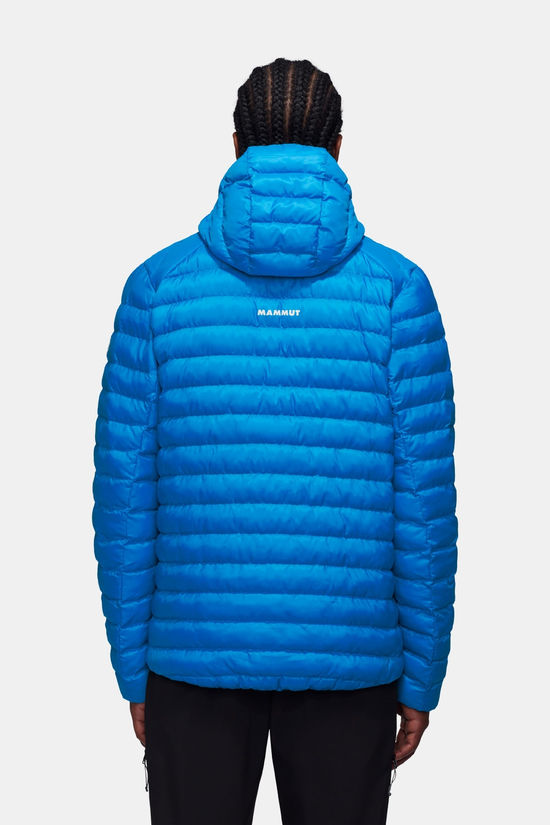 Mammut Mammut Albula In Hooded Isolatiejas