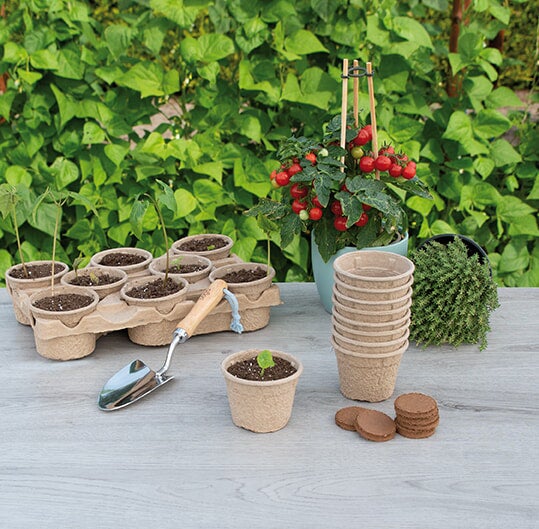Sogo kweekpot 10,5 x 10,5 cm 8 stuks