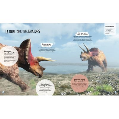 Livre Questions Réponses Tous les dinosaures
