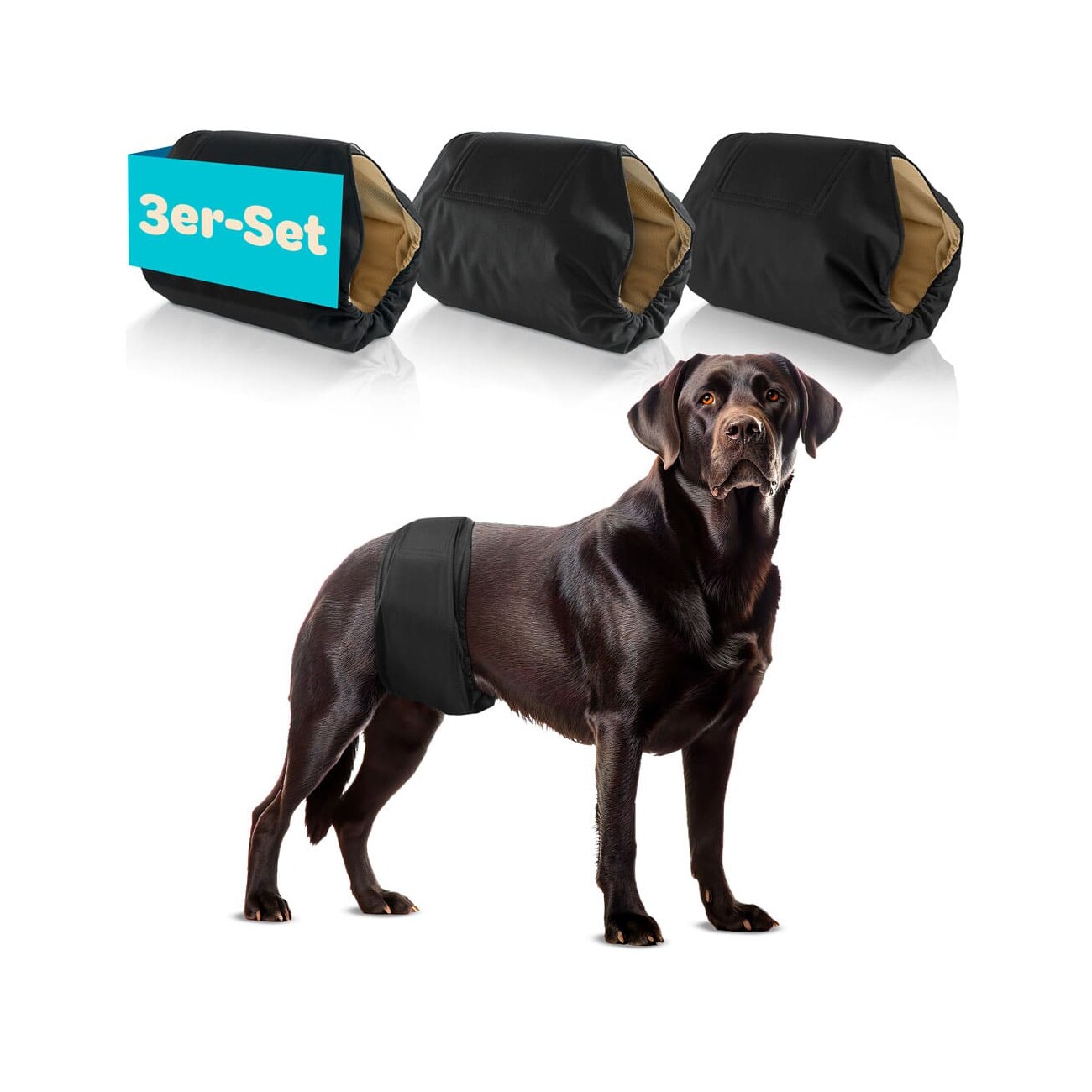 HUND IST KÖNIG Hundewindeln für Rüden [3 STK] Saugstarke Hundewindeln Rüde | Bequeme Hunde Windeln bei Inkontinenz L