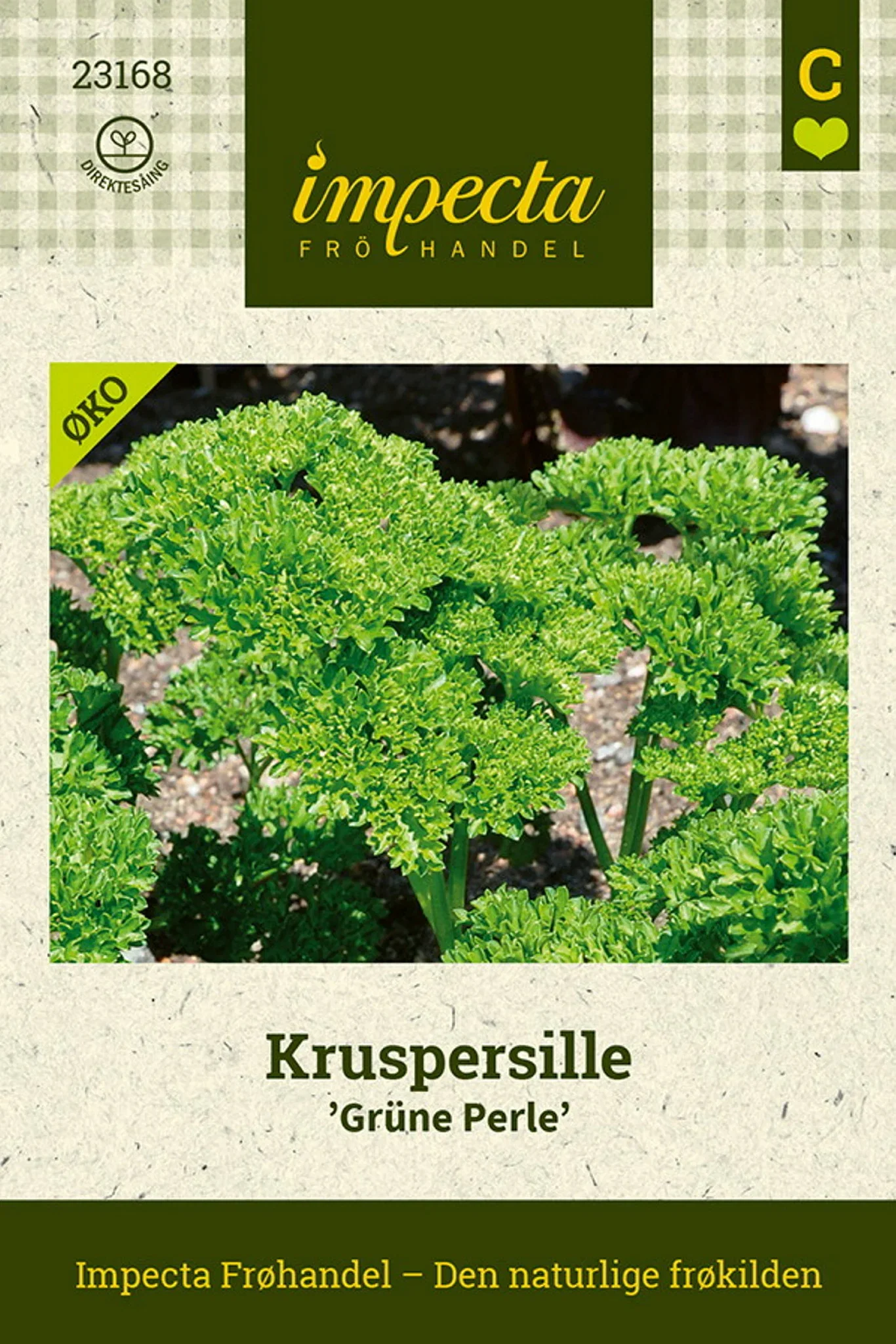 Petroselinum crispum 'Grüne Perle' Kruspersille 'Grüne Perle'