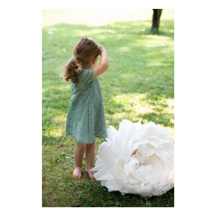 Zhoe & Tobiah Robe Dentelle | Vert argile