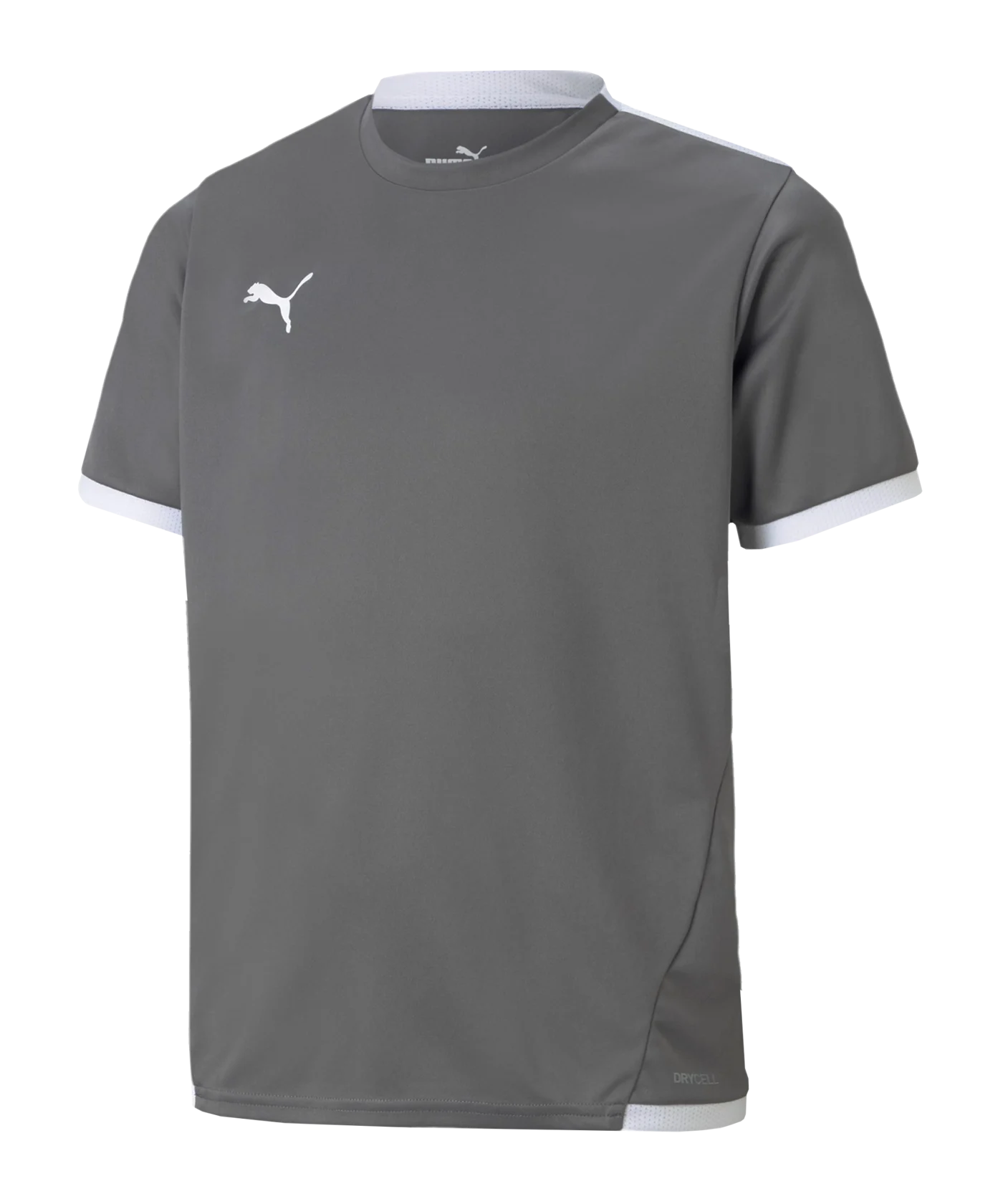PUMA teamLIGA Trikot Kids Grau F13
