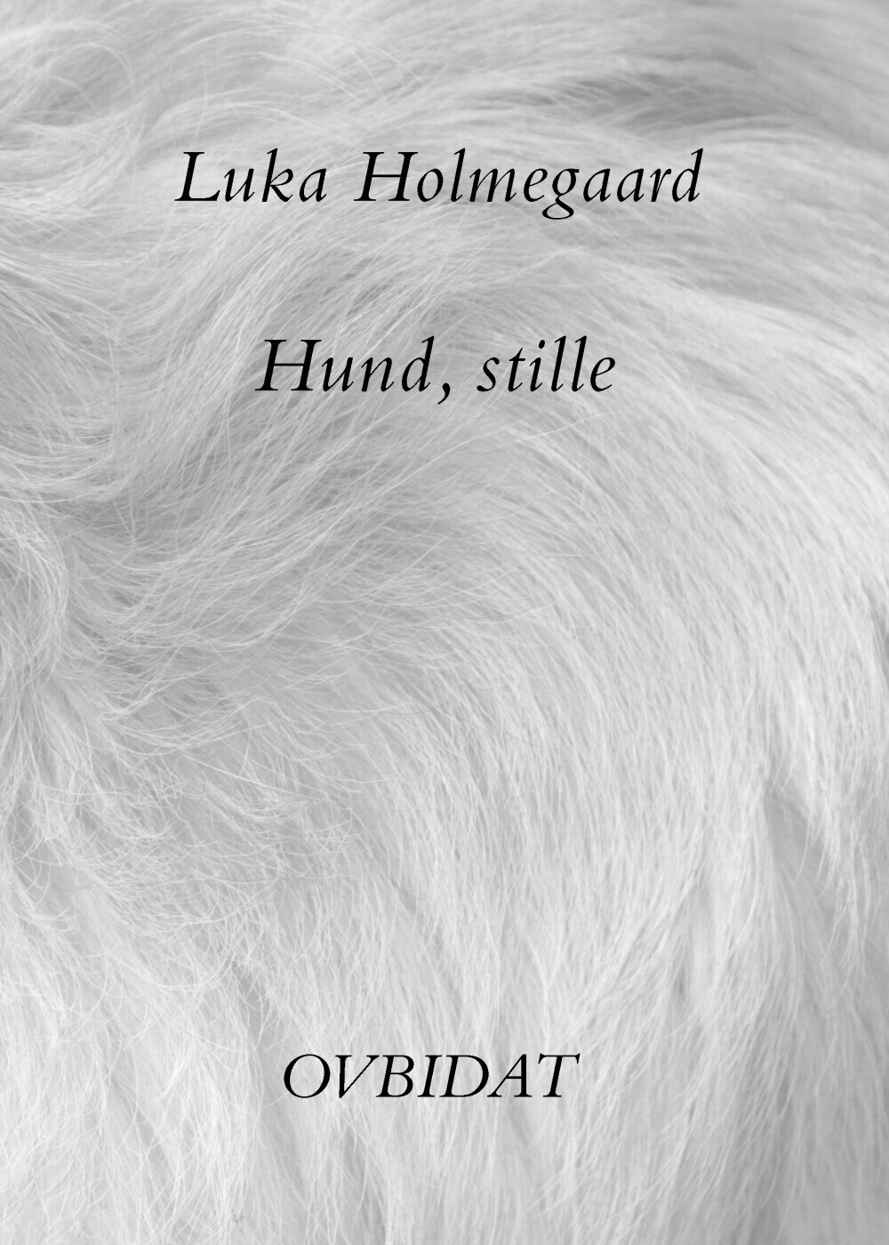 Hund, Stille - Luka Holmegaard - Bog