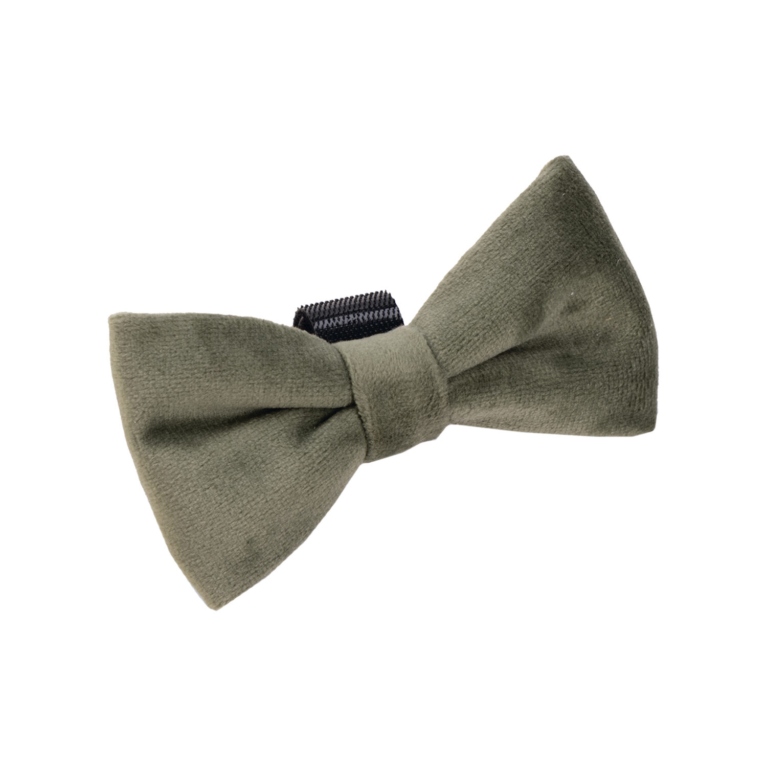 Designed by Lotte Strik Zaza - Velvet