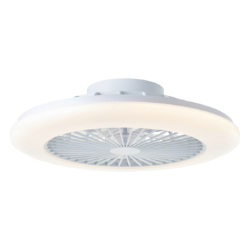 Brilliant plafondventilator Salerno met lamp en RGB functie 40W wit