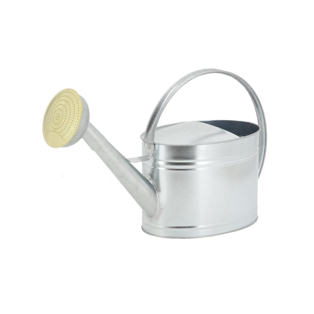 Arrosoir en métal galvanisé 10 l