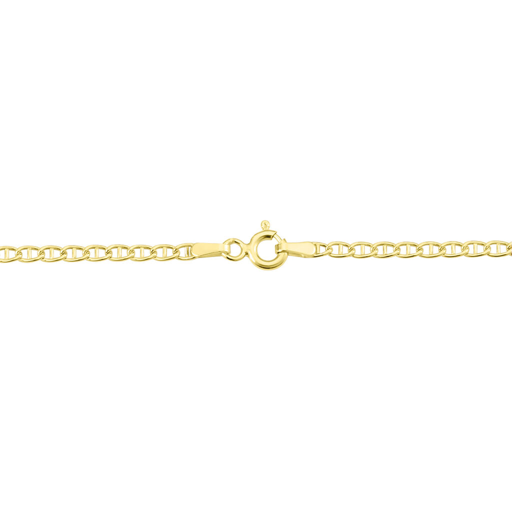 Collier Capucin Maille Marine Plate Or Jaune
