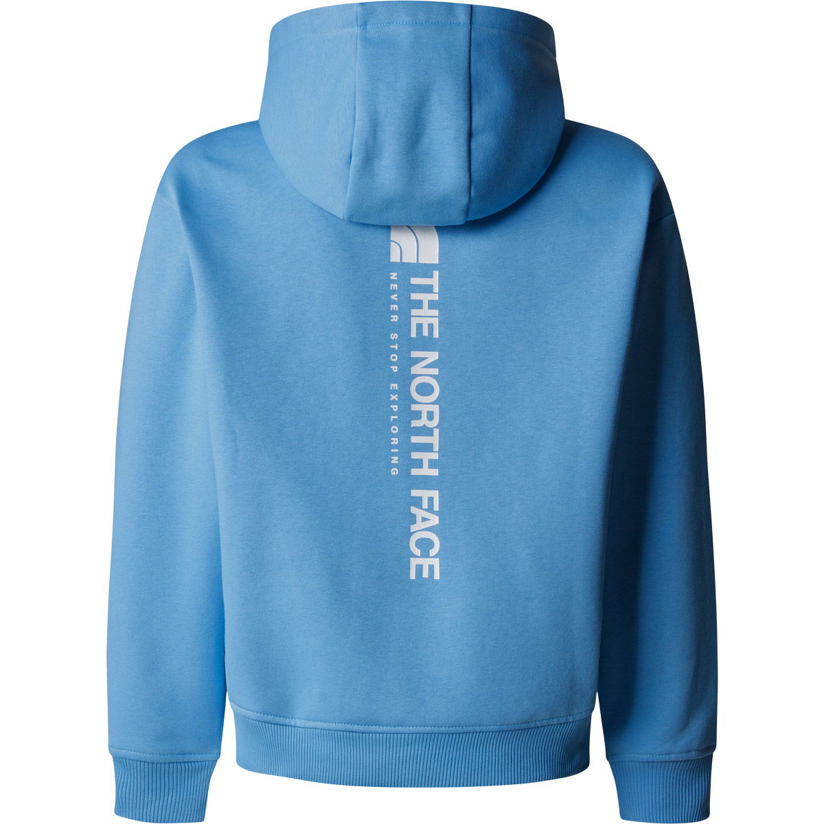 The North Face Vertical Graphic Oversized Hættetrøje Børn