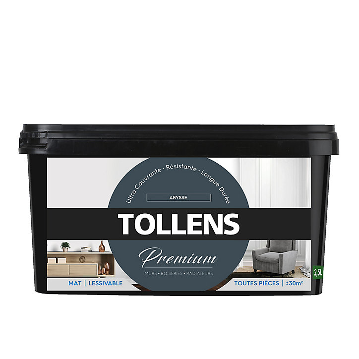 Peinture Tollens premium murs, boiseries et radiateurs abysse mat 2,5L
