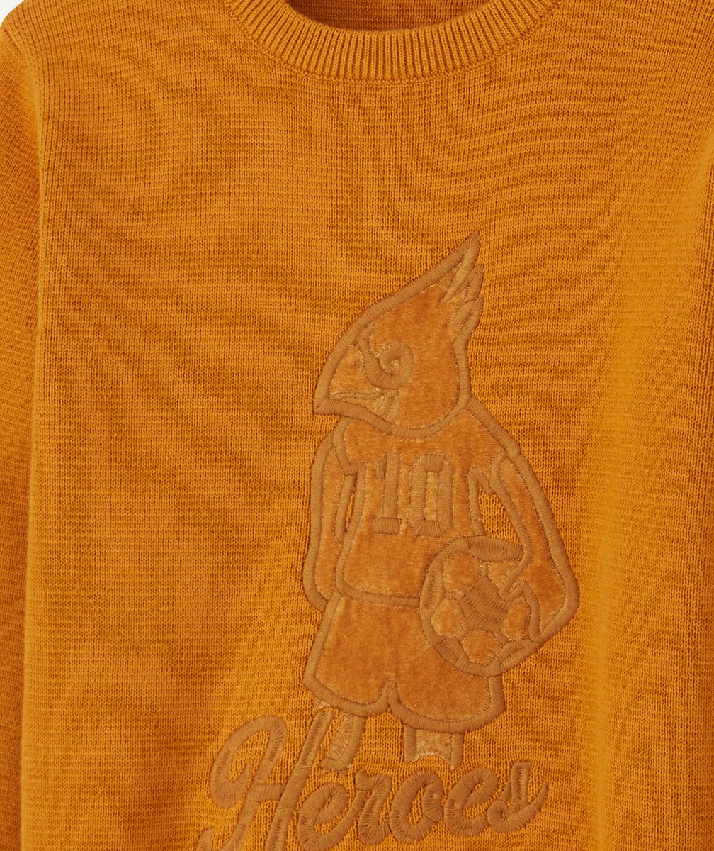 PULL EN TRICOT CAMEL AVEC MOTIF AIGLE EN FEUTRINE