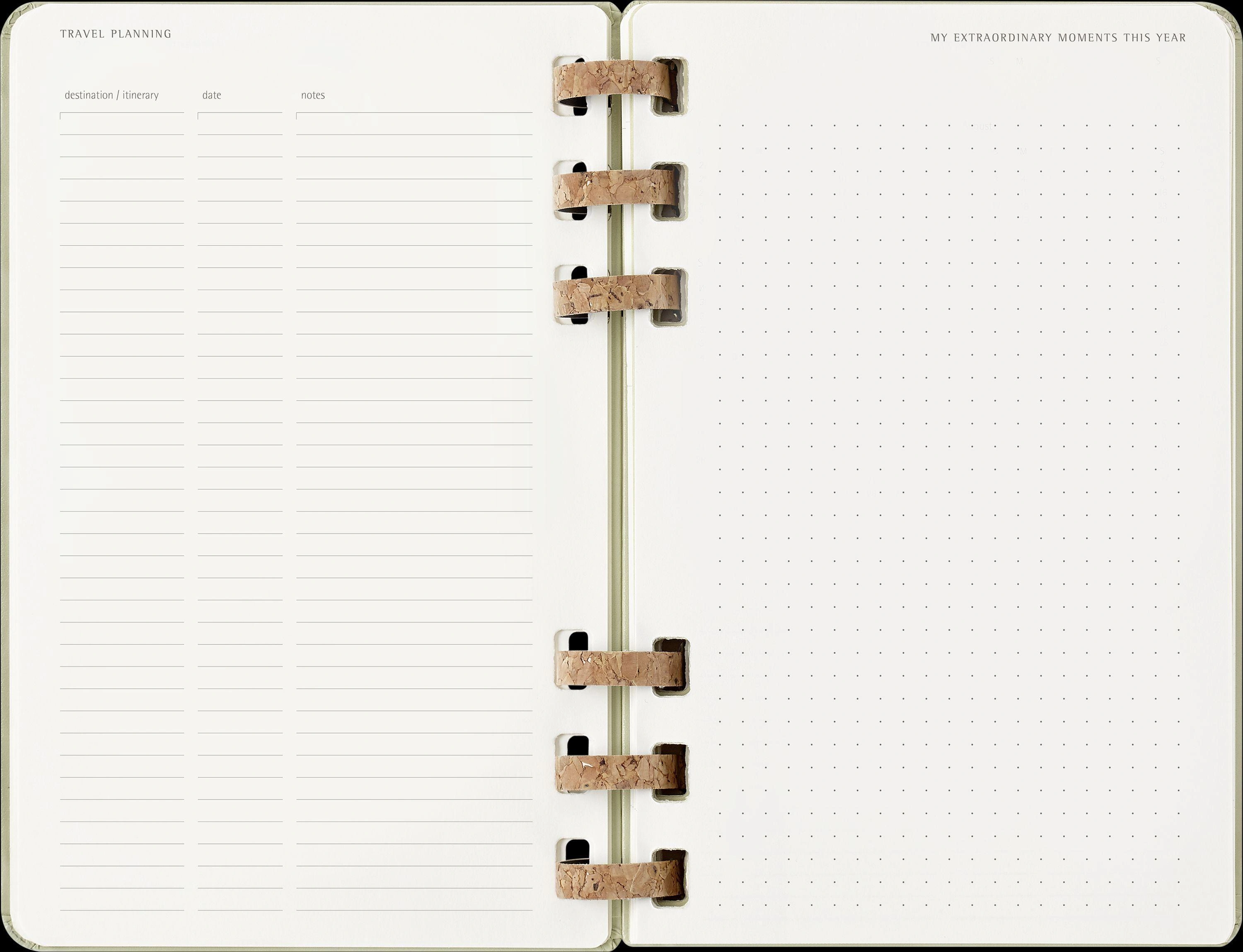 Moleskine 12 Monate Planer mit Spiralbindung, L/A5