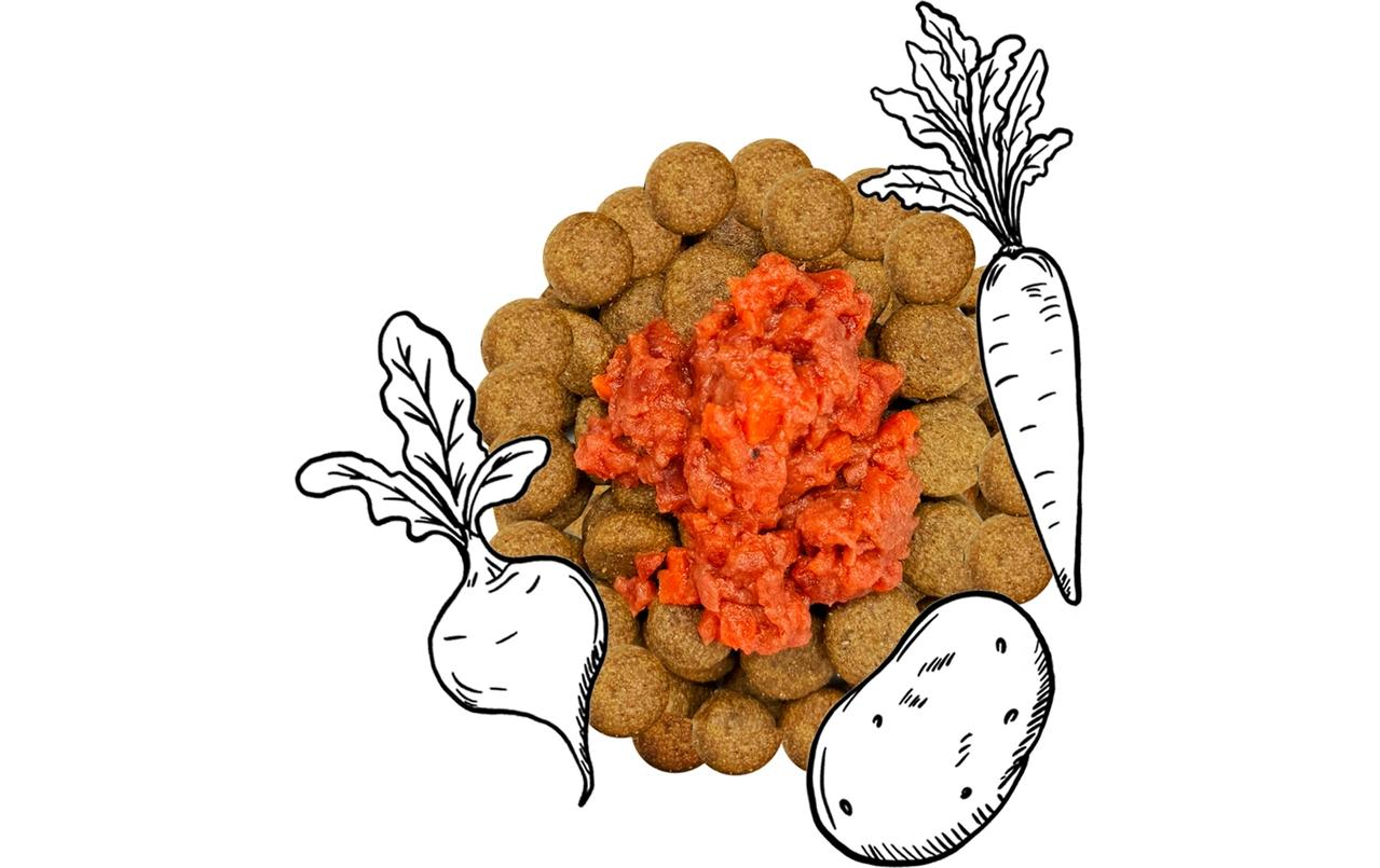 Nassfutter SteamCooked Topping Red, 200 gErgänzungsfuttermittel für ausgewachsene Hunde