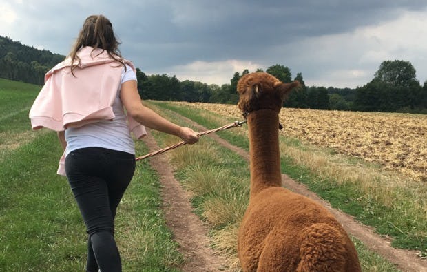 Alpaka Wanderung Heiligenstadt