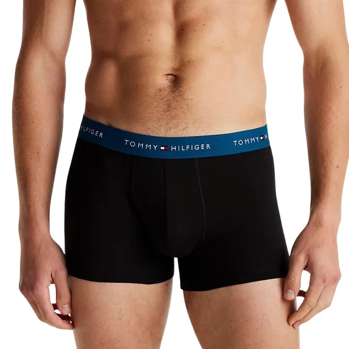 Tommy Hilfiger Repeat Logo Trunk Boxershorts Heren (7-pack)