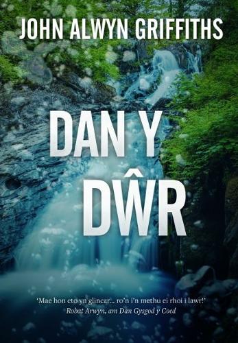 Dan y Dr (Paperback)