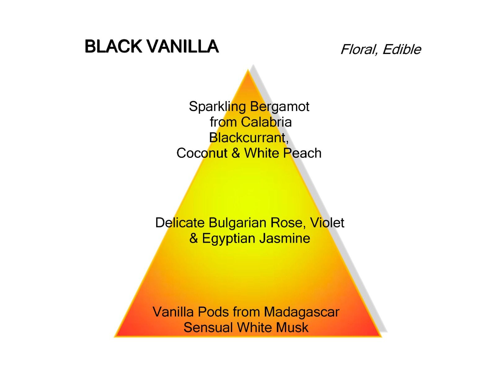 Mancera Black Vanilla