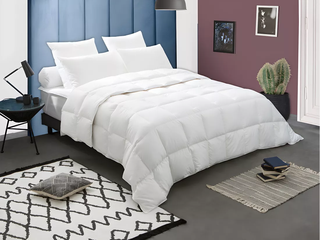 Couette DODO Naturelle Duvet - 220x240 cm - BAFFIN