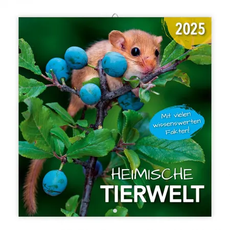 Trötsch Broschürenkalender 