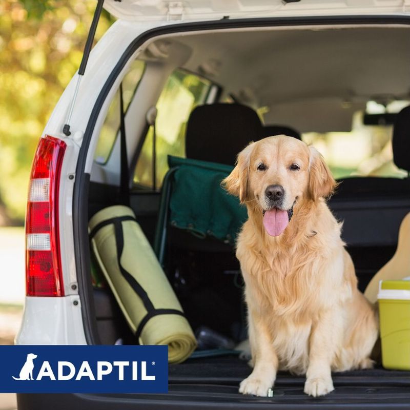 Adaptil - Transportspray - 60 ml - Kalmeringsmiddel