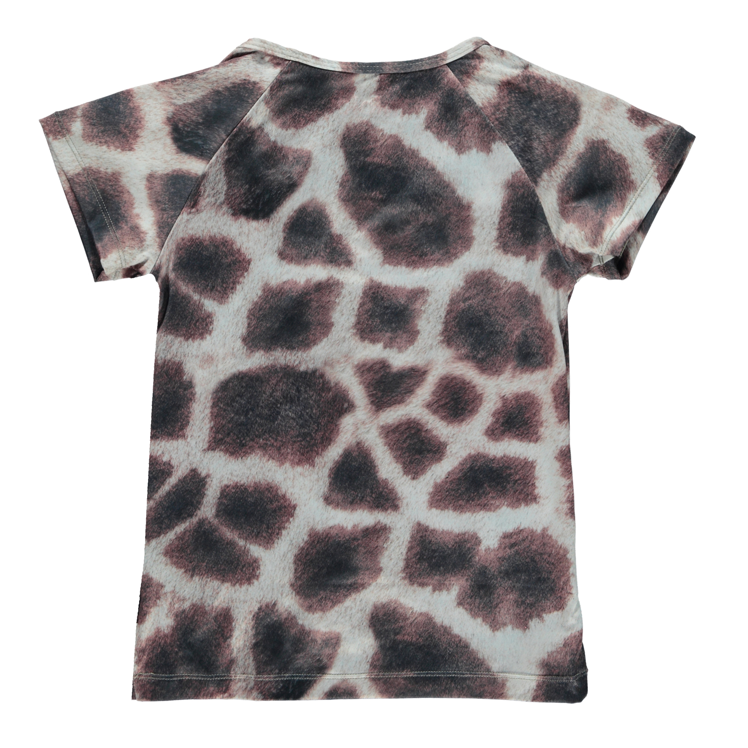 Oaklee - Giraffe