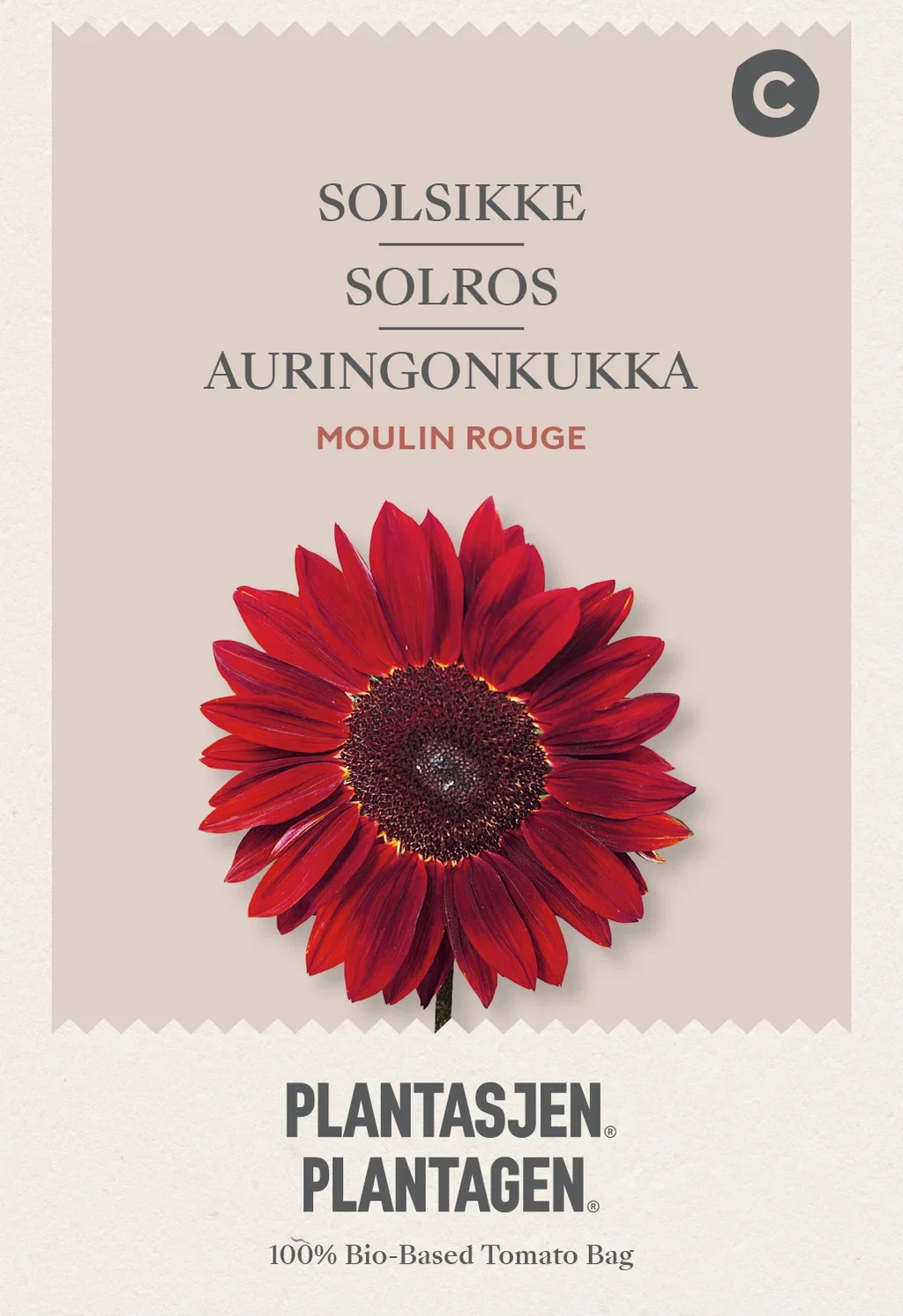 Helianthus annuus Solsikke 'Moulin Rouge'