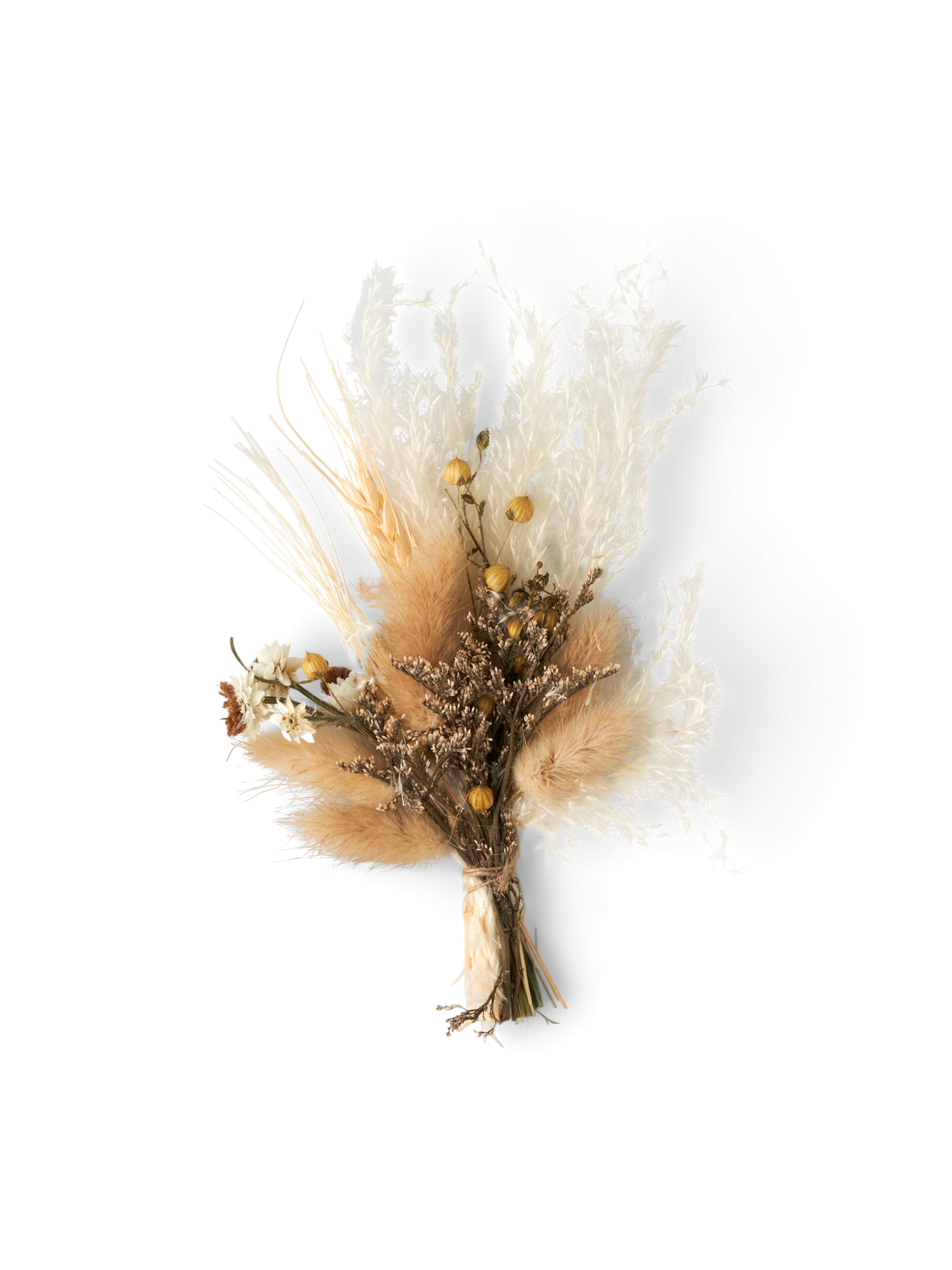 Tørrede blomster til DIY | Tørrede blomster. | Off White