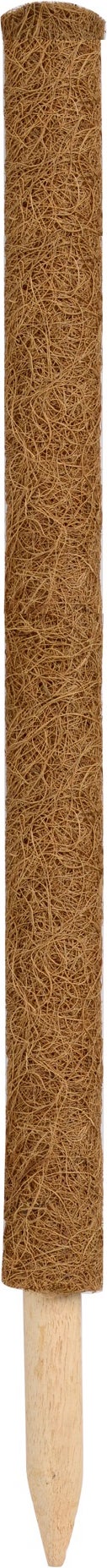 Nature plantenstok kokos H 90 cm D 38 mm