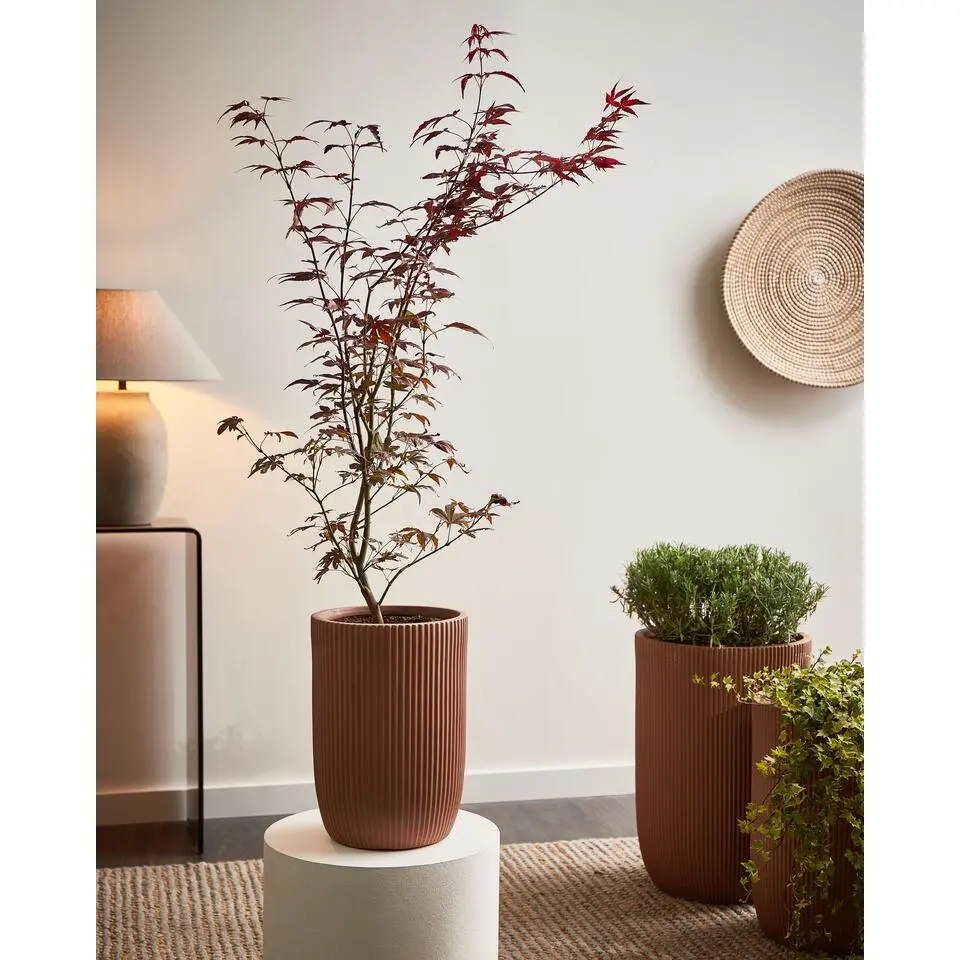 EANTIO - Bloempot - 25 x 25 x 38 cm - Bruin - Kleivezels