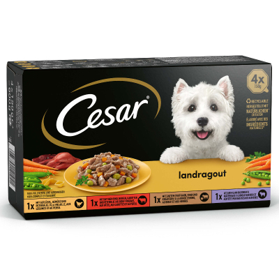 Cesar Culinaria Multipack 4x150g